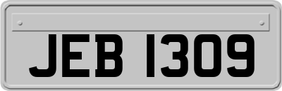 JEB1309