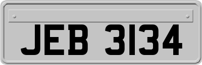 JEB3134