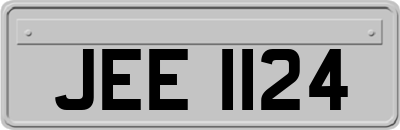 JEE1124