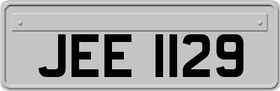 JEE1129