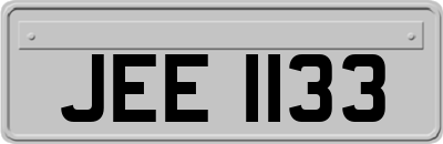 JEE1133