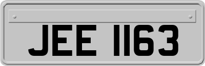 JEE1163