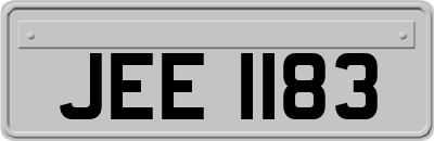 JEE1183