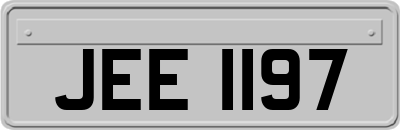 JEE1197