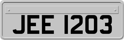 JEE1203