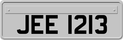 JEE1213