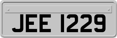 JEE1229