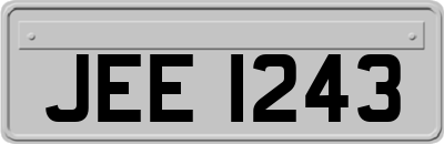 JEE1243