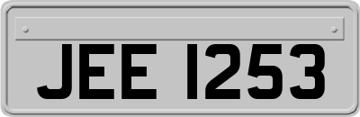 JEE1253