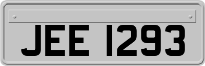 JEE1293