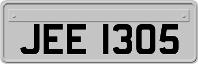 JEE1305