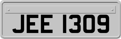 JEE1309