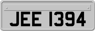 JEE1394