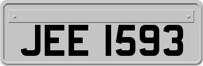 JEE1593