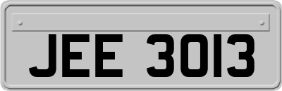 JEE3013