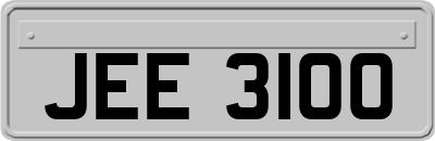 JEE3100