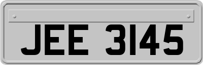 JEE3145