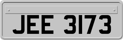 JEE3173