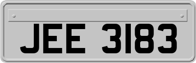 JEE3183