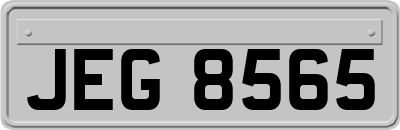 JEG8565