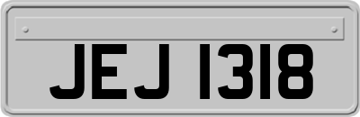 JEJ1318