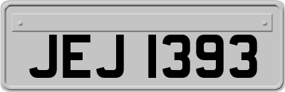 JEJ1393