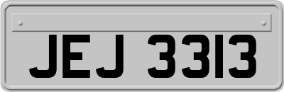 JEJ3313
