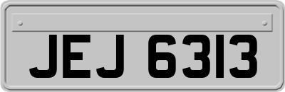 JEJ6313