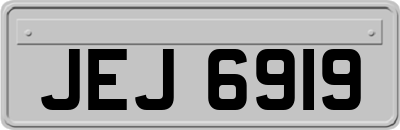 JEJ6919