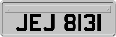 JEJ8131