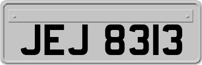 JEJ8313