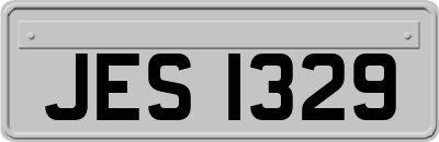 JES1329