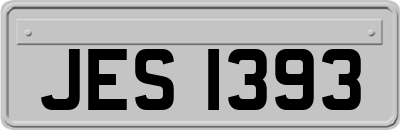 JES1393