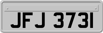 JFJ3731