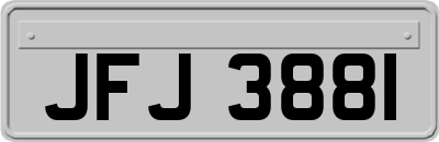 JFJ3881