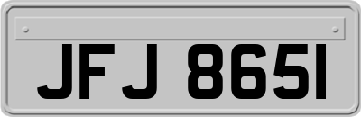 JFJ8651