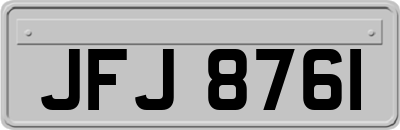 JFJ8761