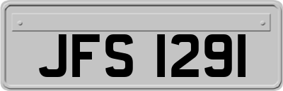 JFS1291