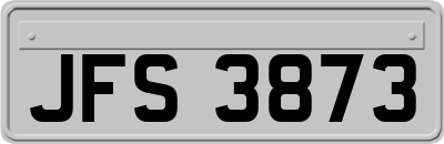 JFS3873