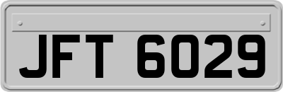 JFT6029