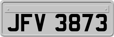 JFV3873