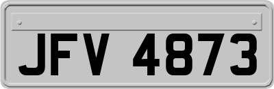 JFV4873