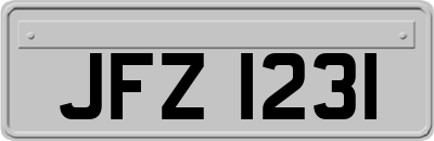 JFZ1231