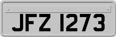 JFZ1273