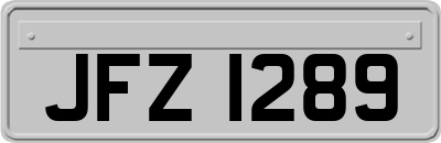 JFZ1289