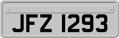 JFZ1293