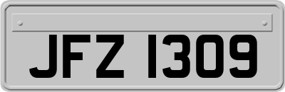JFZ1309
