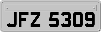 JFZ5309
