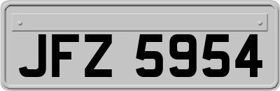 JFZ5954