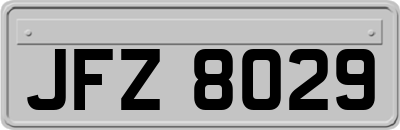 JFZ8029